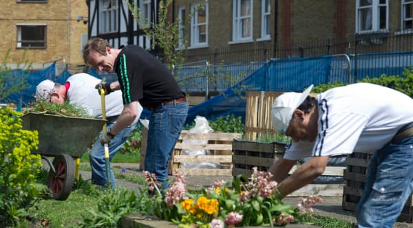 Group of people gardening